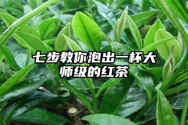 七步教你泡出一杯大师级的红茶