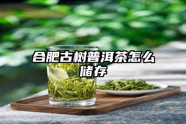 合肥古树普洱茶怎么储存