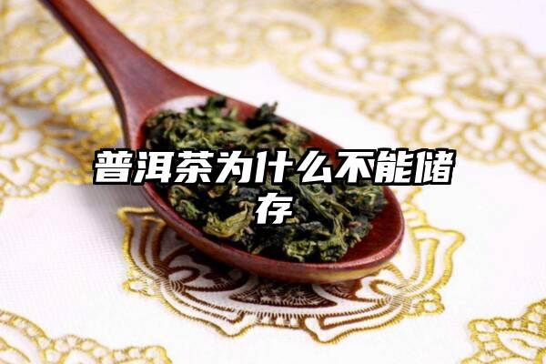 普洱茶为什么不能储存