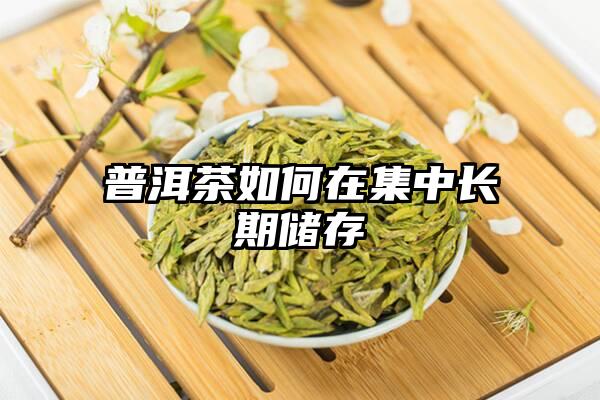 普洱茶如何在集中长期储存