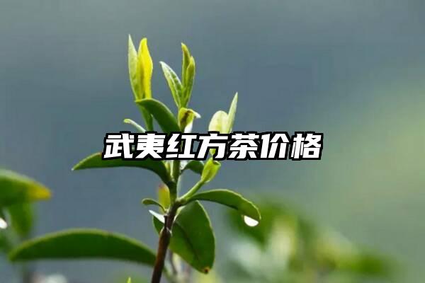 武夷红方茶价格