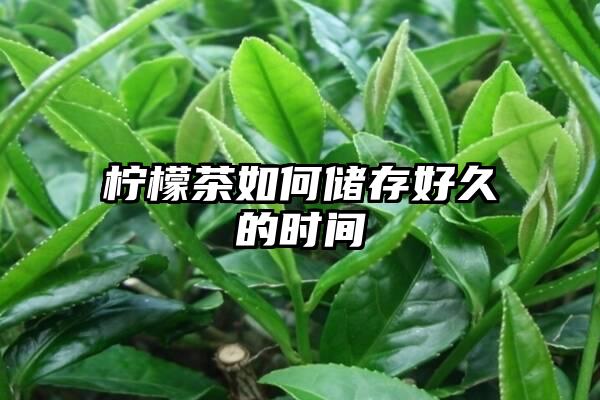 柠檬茶如何储存好久的时间