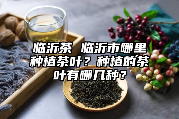 临沂茶 临沂市哪里种植茶叶？种植的茶叶有哪几种？