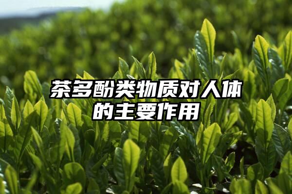 茶多酚类物质对人体的主要作用