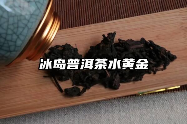 冰岛普洱茶水黄金