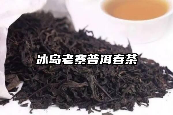 冰岛老寨普洱春茶