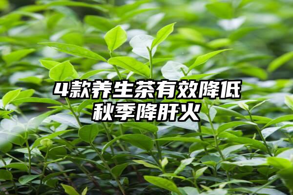 4款养生茶有效降低秋季降肝火