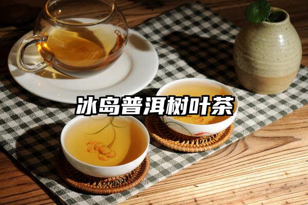 冰岛普洱树叶茶