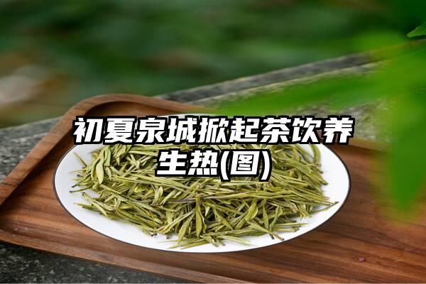 初夏泉城掀起茶饮养生热(图)