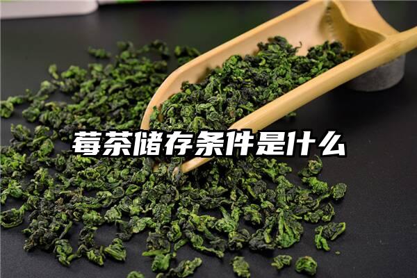 莓茶储存条件是什么