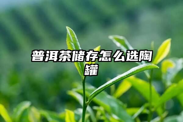 普洱茶储存怎么选陶罐