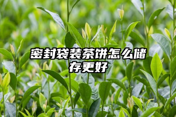 密封袋装茶饼怎么储存更好