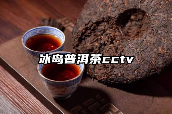 冰岛普洱茶cctv