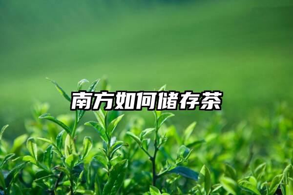 南方如何储存茶