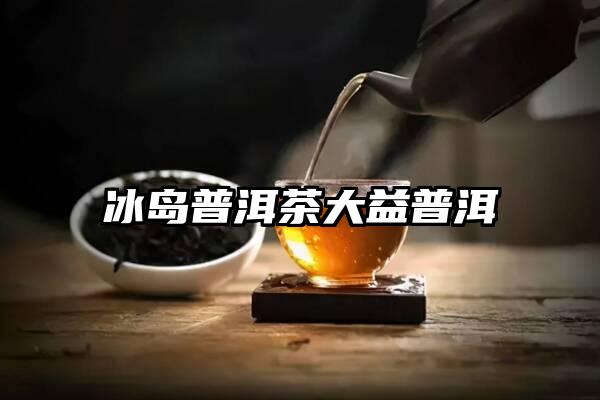 冰岛普洱茶大益普洱