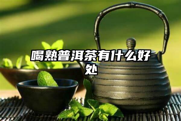 喝熟普洱茶有什么好处