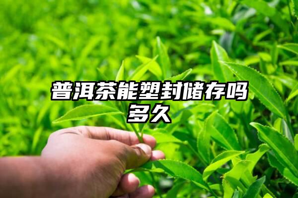 普洱茶能塑封储存吗多久