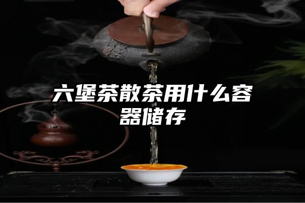 六堡茶散茶用什么容器储存