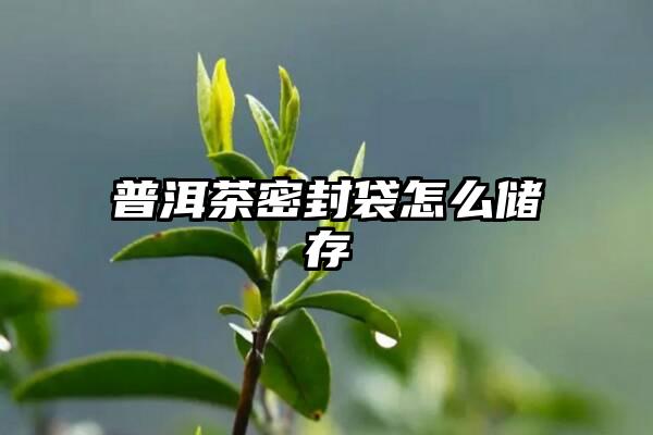 普洱茶密封袋怎么储存