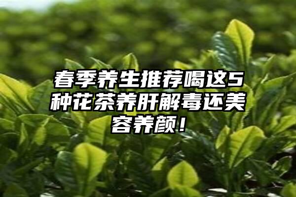 春季养生推荐喝这5种花茶养肝解毒还美容养颜！