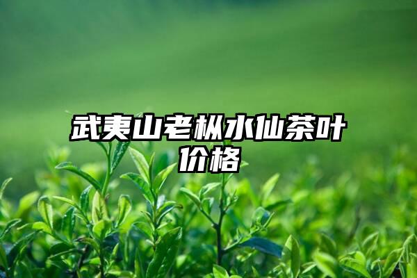 武夷山老枞水仙茶叶价格