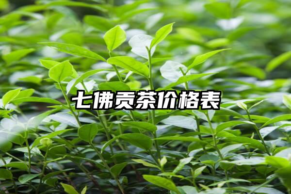 七佛贡茶价格表