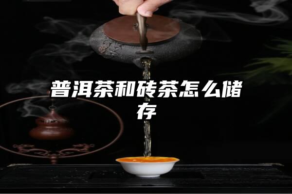 普洱茶和砖茶怎么储存