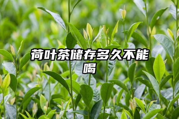 荷叶茶储存多久不能喝