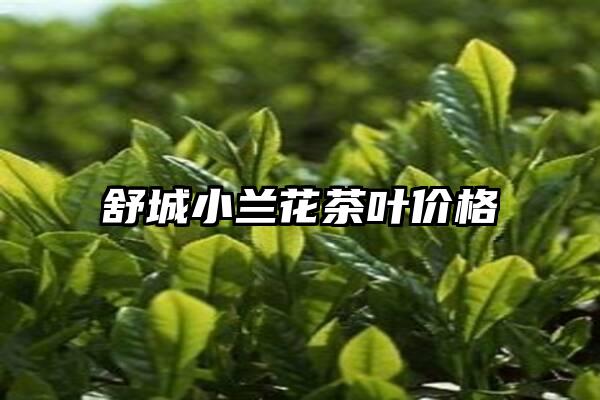 舒城小兰花茶叶价格