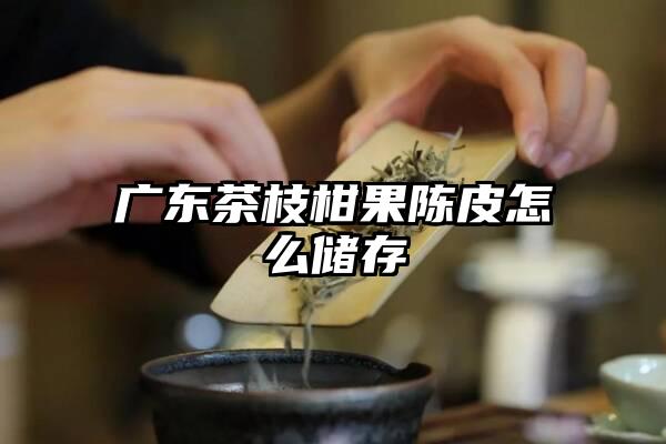 广东茶枝柑果陈皮怎么储存