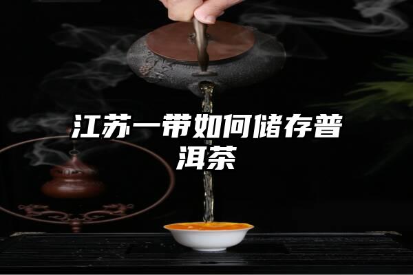 江苏一带如何储存普洱茶