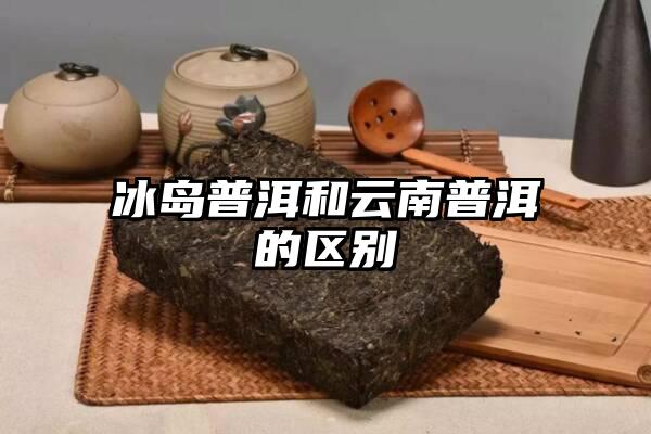 冰岛普洱和云南普洱的区别