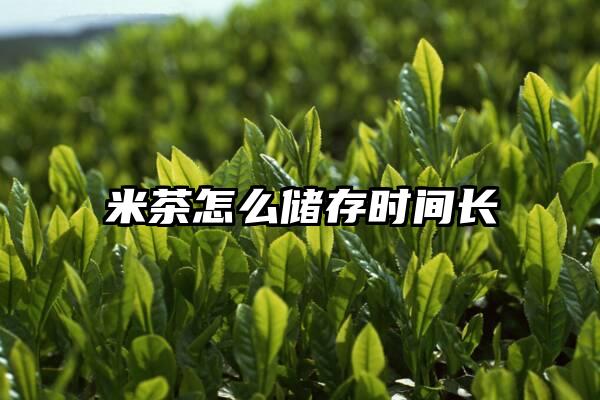 米茶怎么储存时间长