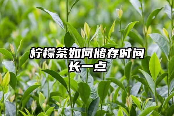 柠檬茶如何储存时间长一点