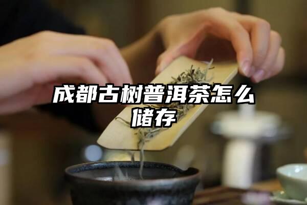 成都古树普洱茶怎么储存