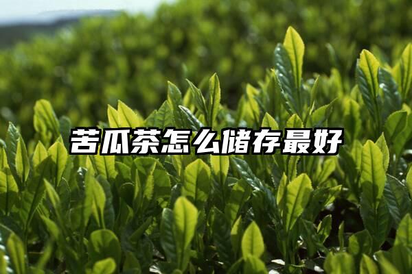 苦瓜茶怎么储存最好