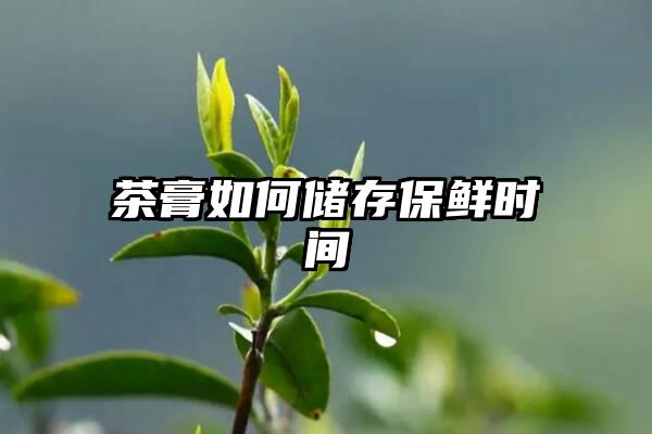 茶膏如何储存保鲜时间