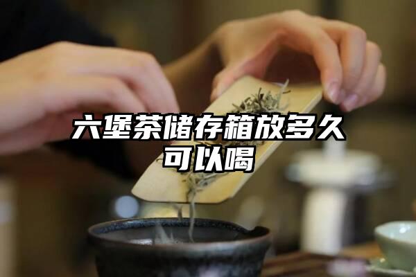 六堡茶储存箱放多久可以喝