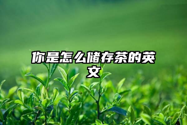 你是怎么储存茶的英文