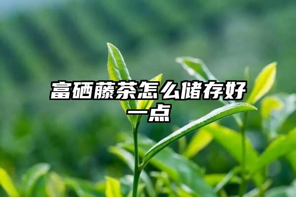 富硒藤茶怎么储存好一点