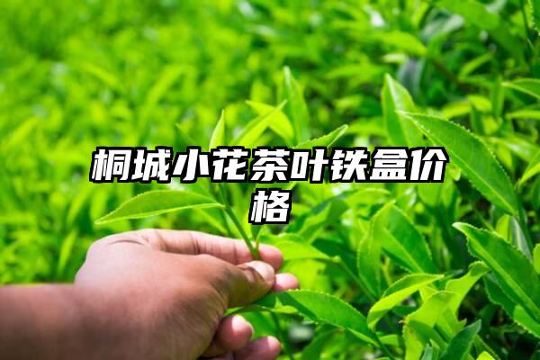 桐城小花茶叶铁盒价格