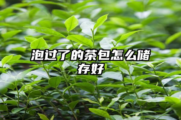 泡过了的茶包怎么储存好