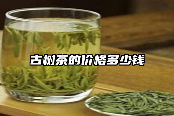 古树茶的价格多少钱