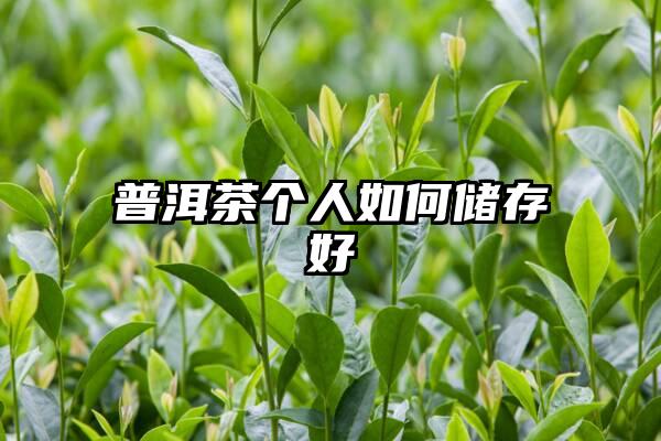 普洱茶个人如何储存好