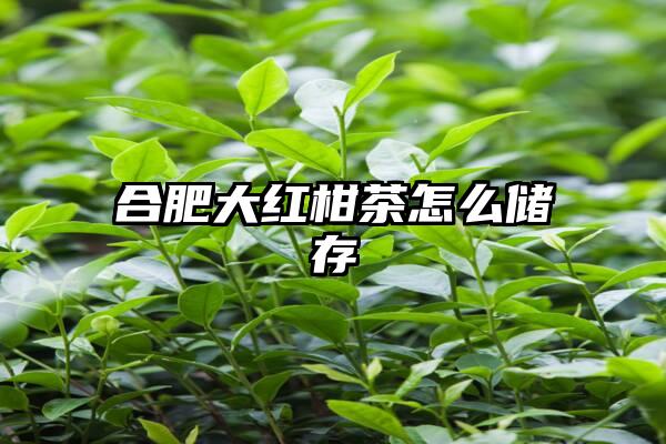 合肥大红柑茶怎么储存