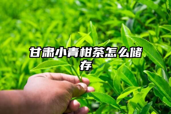 甘肃小青柑茶怎么储存