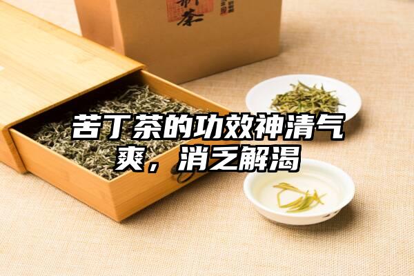 苦丁茶的功效神清气爽，消乏解渴