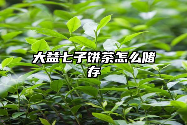 大益七子饼茶怎么储存