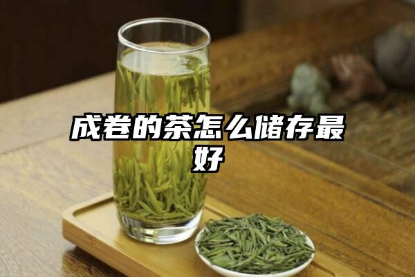 成卷的茶怎么储存最好