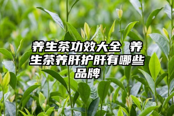 养生茶功效大全 养生茶养肝护肝有哪些品牌